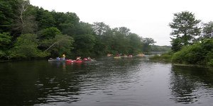 Kayak